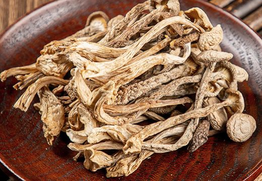 這款一體式空氣能熱泵烘干機生產(chǎn)廠家不走套路只“走心”-[集木烘干]