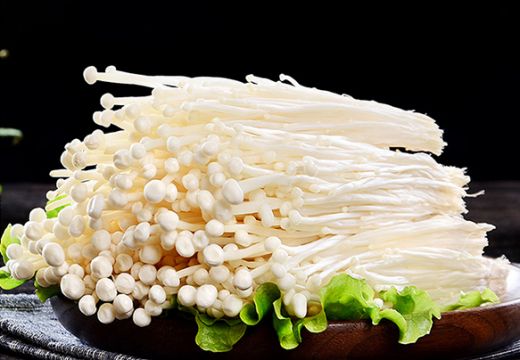 實際效果出乎意料，金針菇烘干品相確實好-[集木烘干]