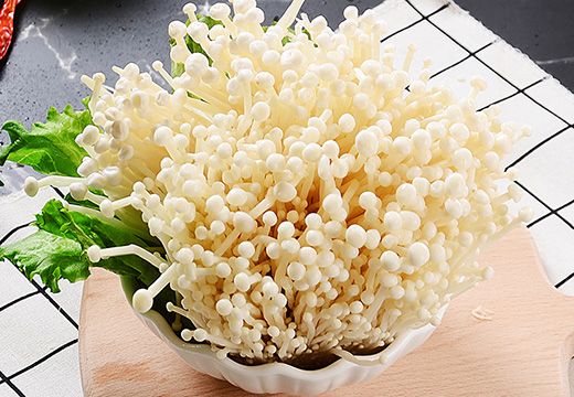 金針菇烘干加工工藝，金針菇烘干機(jī)使用指南-[集木烘干]