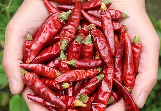 辣椒烘干，應(yīng)用高溫?zé)岜煤娓沙凉駲C(jī)-[集木烘干]