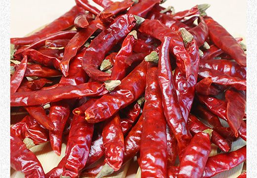 空氣能烘干機(jī)顛復(fù)傳統(tǒng)式辣椒烘干加工工藝-[集木烘干]