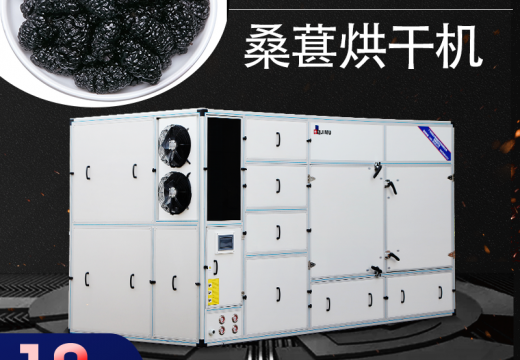桑葚烘干機(jī)有多厲害？試試你就知道 【廣州集木】