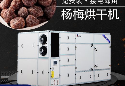 木瓜烘干機(jī)代替?zhèn)鹘y(tǒng)日曬【廣州集木】