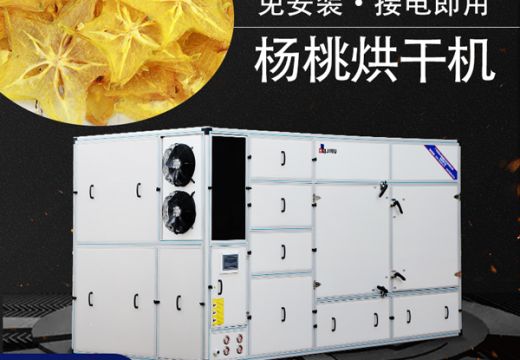 你知道為什么要用楊桃烘干機(jī)嗎？【廣州集木】