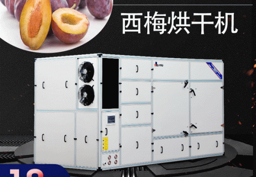 西梅烘干機(jī)烘出高品質(zhì)西梅【廣州集木】
