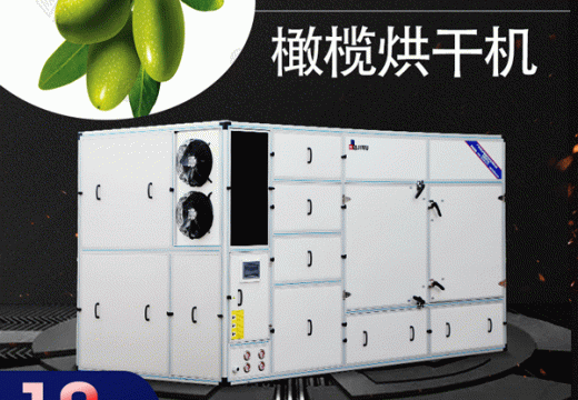 橄欖烘干機制作的橄欖干果泡水喝都有哪些作用 【廣州集木】