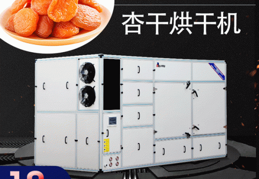優(yōu)質(zhì)的杏干制作工藝采用杏干烘干機(jī) 【廣州集木】