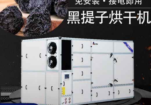 黑提子烘干機(jī)迅速干燥成黑提子干【廣州集木】