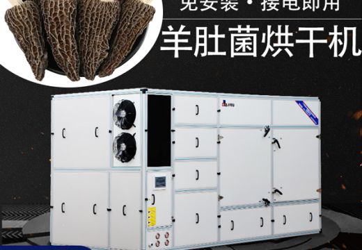 選對羊肚菌烘干機很重要【廣州集木】