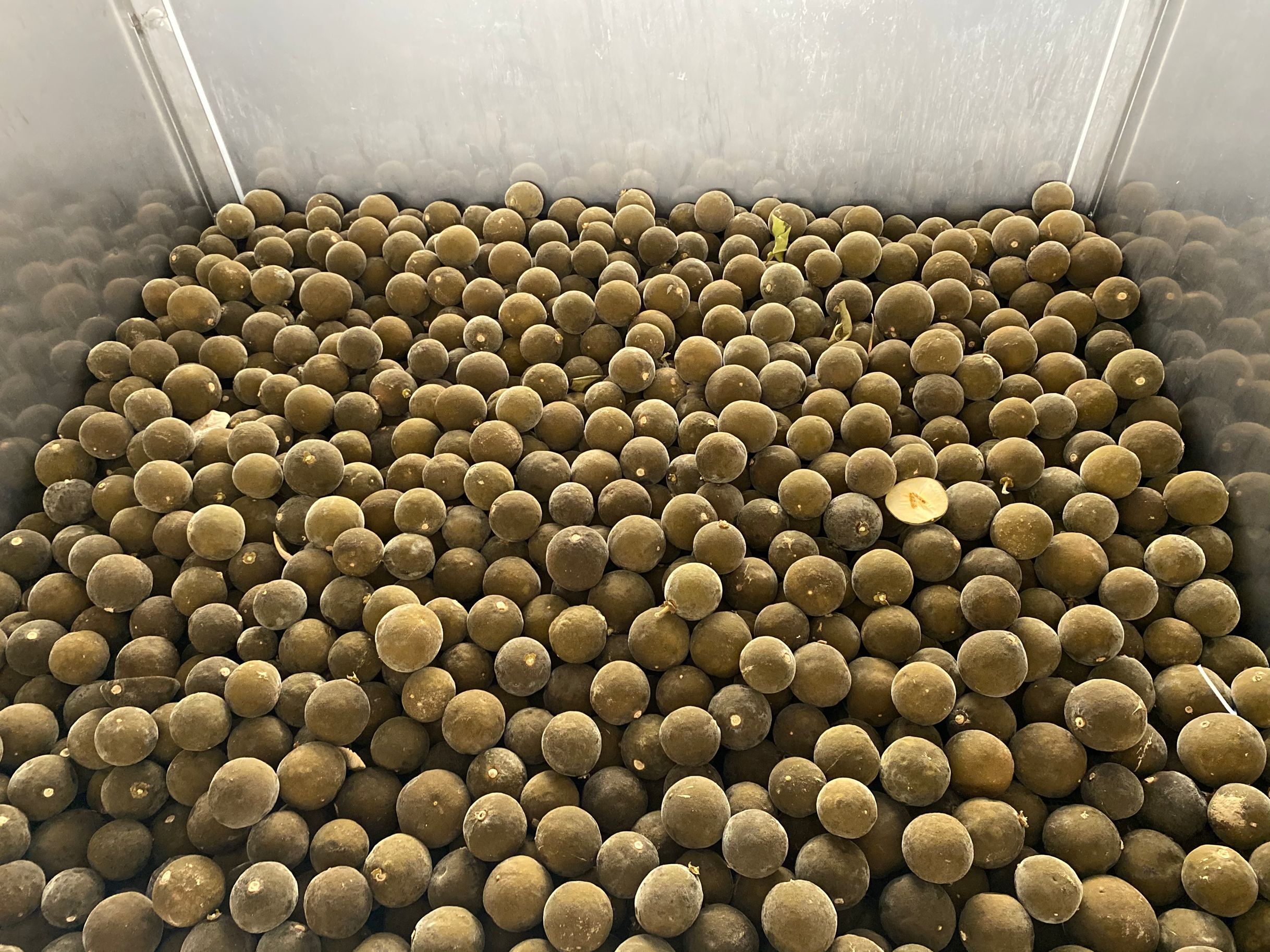 化橘紅烘干機(jī)