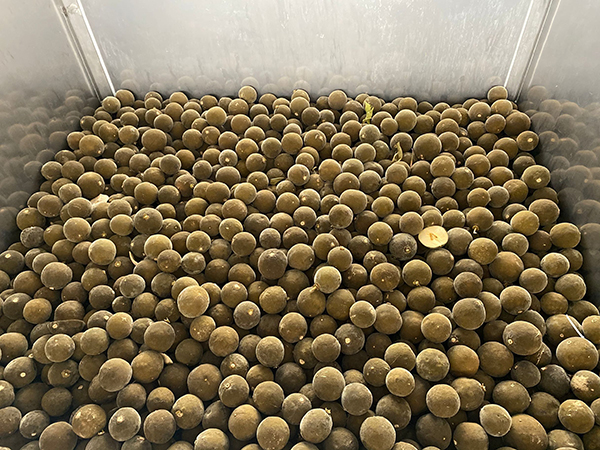 化橘紅烘干機(jī)