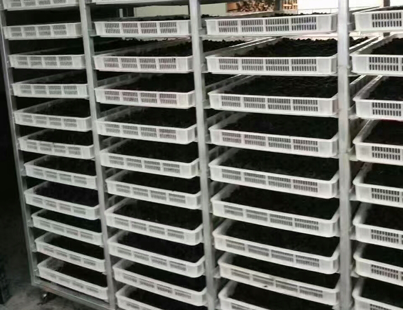 桑葚干燥機(jī)